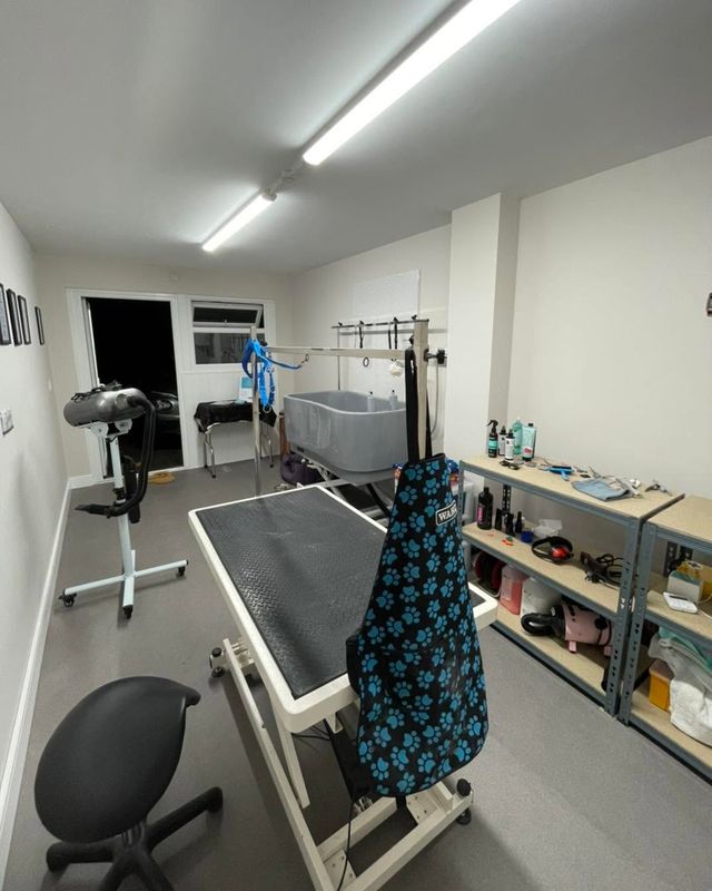 The grooming room with its table, bath, dryer and shelves of products at Kiss My Mutt, Stone